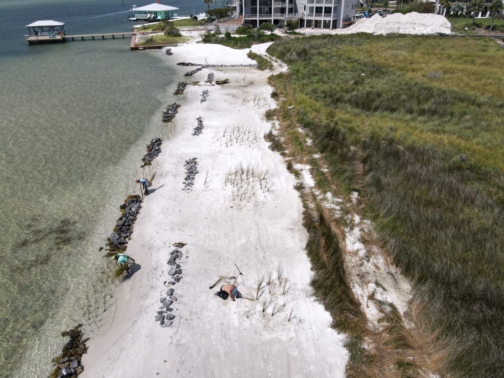 Sandy living shoreline